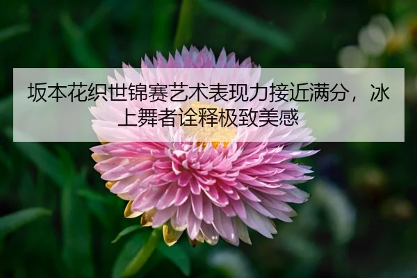 ban-ben-hua-zhi-shi-jin-sai-yi-shu-biao-xian-li-jie-jin-man-fen-bing-shang-wu-zhe-quan-shi-ji-zhi-mei-gan-3-808.jpg