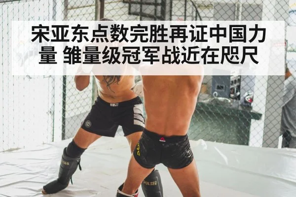 MMA knockout punch